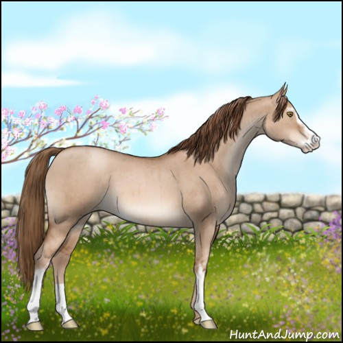 Horse Color:Liver Red Dun Pearl Sabino Brindle 