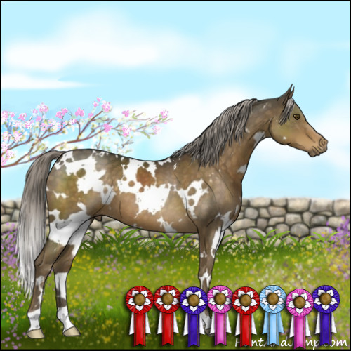 Horse Color:White Spotted Chocolate Palomino 