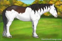 Horse Color:Brown Splash 