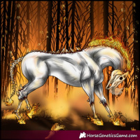 Horse Color:White Spotted Red Dun Roan Onyx Near Leopard 