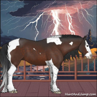 Horse Color:Bay Splash Tobiano