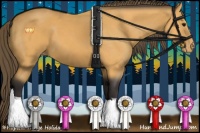 Horse Color:Buckskin Varnish 