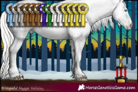 Horse Color:Silver Perlino Dun Sabino 