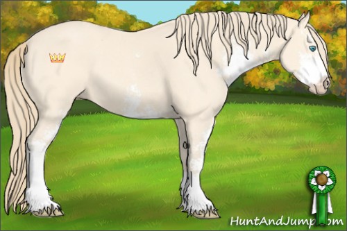 Horse Color:Perlino Roan Sabino 