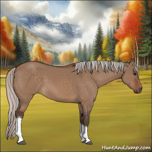 Horse Color:Silver Bay Dun Tobiano 