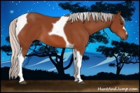 Horse Color:Silver Bay Tobiano