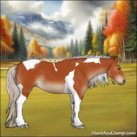 Horse Color:Silver Bay Tobiano 