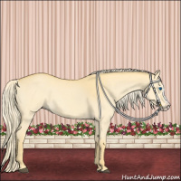 Horse Color:Palomino Dun Splash 