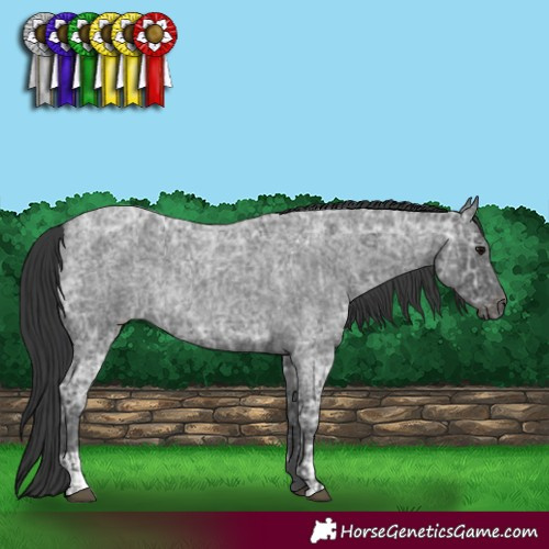Horse Color:Blue Ice Roan  and Blue Ice Roan 