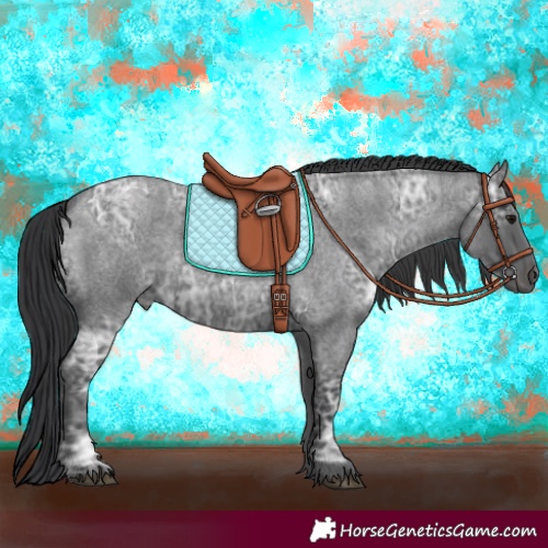 Horse Color:Blue Ice Roan and Blue Ice Roan