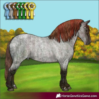 Horse Color:Blue Ice Roan Pearl and Midnight Brown Ice Roan Pearl