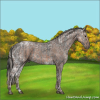 Horse Color:Blue Ice Roan and Silver Blue Ice Roan