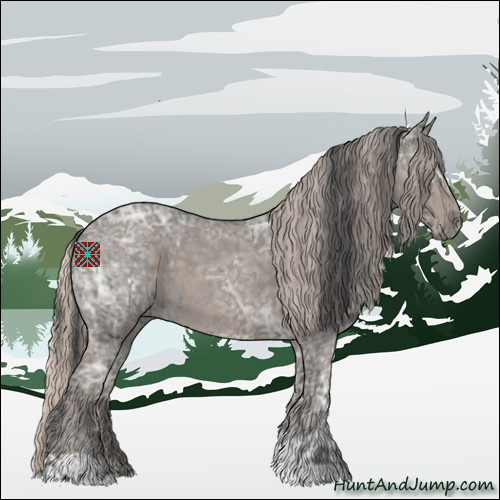Horse Color:Blue Ice Roan  and Silver Blue Ice Roan 
