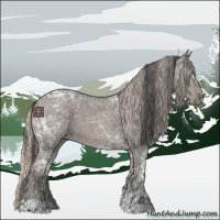 Horse Color:Blue Ice Roan  and Silver Blue Ice Roan 