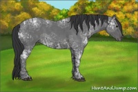 Horse Color:Blue Ice Roan  and Blue Ice Roan 