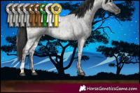 Horse Color:Blue Onyx Ice Roan and Blue Ice Roan