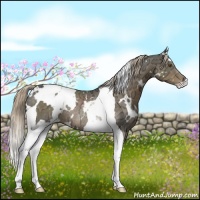 Horse Color:White Spotted Chocolate Palomino Ice Tobiano Rabicano 
