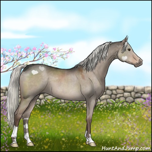 Horse Color:Liver Red Dun