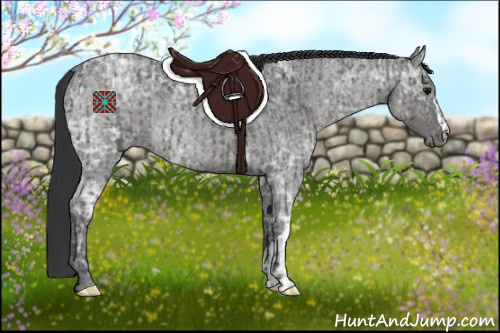 Horse Color:Blue Ice Roan  and Blue Ice Roan 