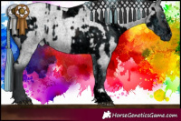 Horse Color:ERROR: UNKNOWN ANOMALY and Blue Roan 