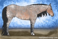 Horse Color:Blue Ice Roan  and Bay Ice Roan 