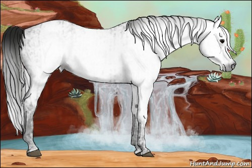 Horse Color:Gray Black Ice  and Gray Black Ice 