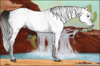 Horse Color:Gray Black Ice and Gray Black Ice