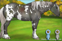 Horse Color:White Spotted Silver Black 