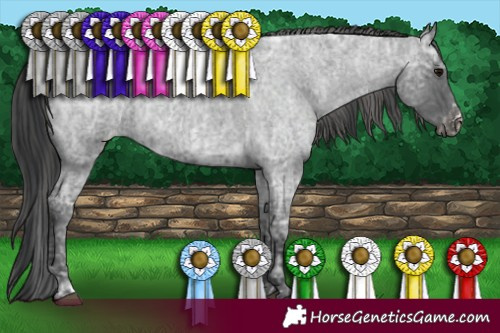 Horse Color:Blue Ice Roan  and Blue Ice Roan Varnish 