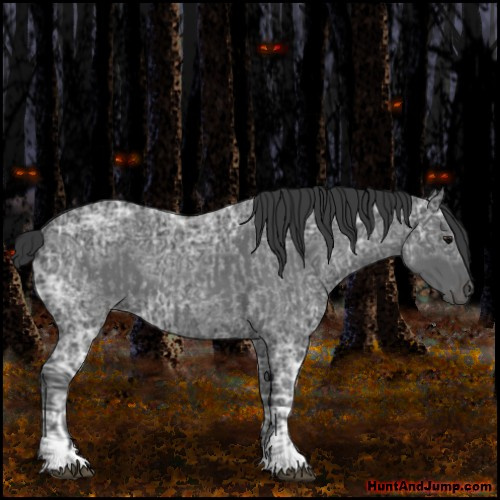 Horse Color:Blue Ice Roan and Blue Ice Roan