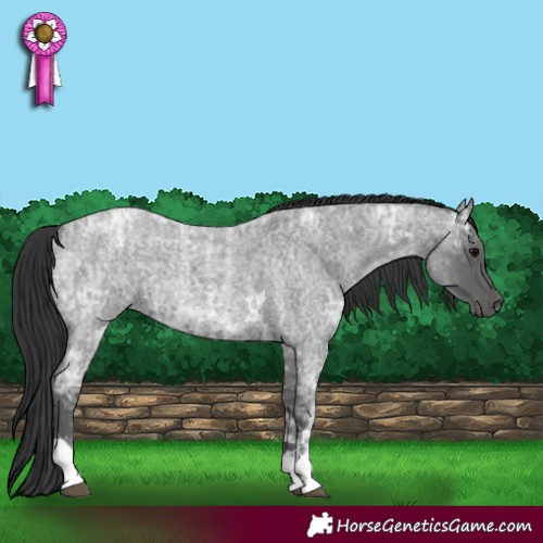 Horse Color:Blue Ice Roan Tobiano  and Blue Ice Roan Tobiano 