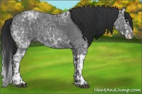 Horse Color:Blue Ice Roan  and Blue Ice Roan Splash 
