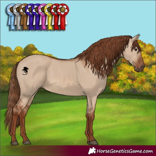 Horse Color:Red Dun