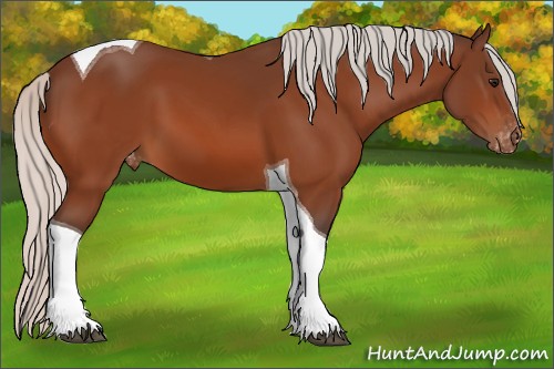 Horse Color:Silver Bay Tobiano Varnish 