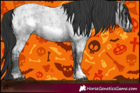 Horse Color:Blue Ice Roan and Blue Ice Roan Frame