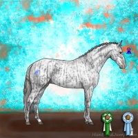 Horse Color:Blue Ice Roan  and Blue Ice Roan Blanket 