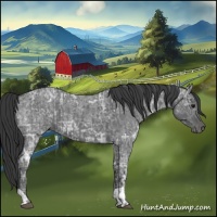 Horse Color:Blue Ice Roan  and Blue Ice Roan 