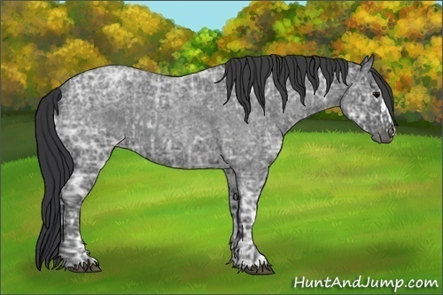 Horse Color:Blue Ice Roan  and Blue Ice Roan 