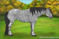 Horse Color:Blue Ice Roan  and Blue Ice Roan 