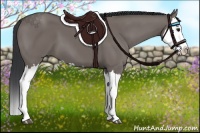 Horse Color:Grullo Splash 