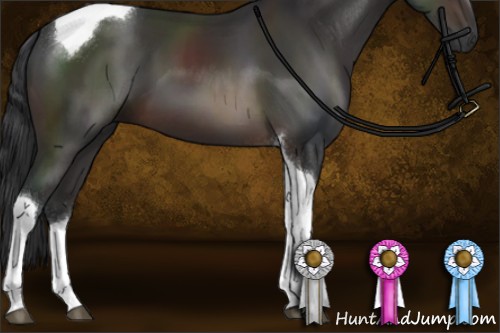 Horse Color:Brown Sabino Tobiano