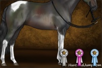 Horse Color:Brown Sabino Tobiano 