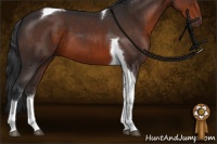 Horse Color:Brown Sabino Tobiano