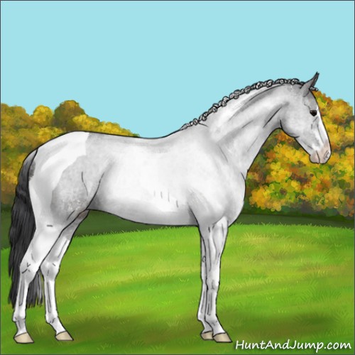 Horse Color:Black Sabino Tobiano Rabicano