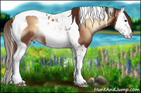 Horse Color:Red Onyx Splash Tobiano Rabicano