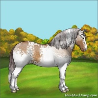 Horse Color:White Spotted Chocolate Buckskin Dun Sabino 