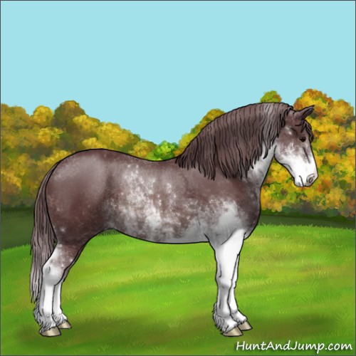 Horse Color:Chocolate Brown Sabino Rabicano