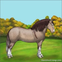 Horse Color:Chocolate Brown Dun Sabino 