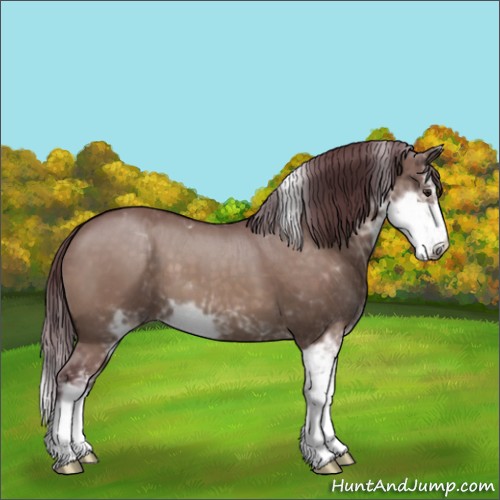 Horse Color:Chocolate Brown Dun Mushroom Sabino 
