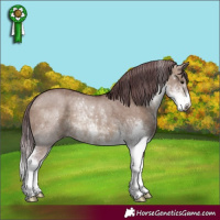 Horse Color:Chocolate Brown Dun Sabino Rabicano